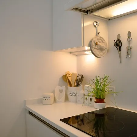 The White Coast アパート ニーウポールト