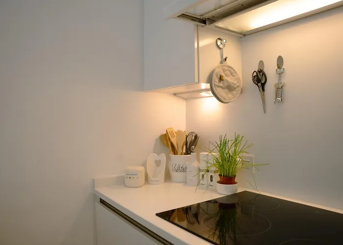 The White Coast アパート ニーウポールト